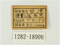 青雀斑灰蝶藏品圖，第3張
