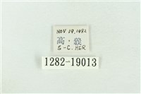 印華波紋蛾藏品圖，第3張