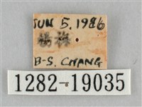 登錄號:001282-19035藏品圖，第3張