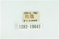 藹環波紋蛾藏品圖，第3張