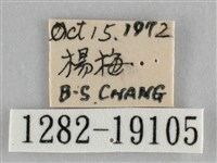 登錄號:001282-19105藏品圖，第3張