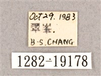 銀端帶鉤蛾藏品圖，第3張