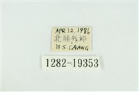 藹環波紋蛾藏品圖，第3張