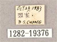 銀端帶鉤蛾藏品圖，第3張