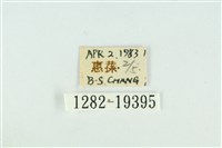 藹環波紋蛾藏品圖，第3張