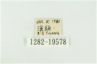 黑翅黃毒蛾藏品圖，第3張