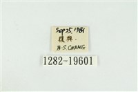 黑翅黃毒蛾藏品圖，第3張