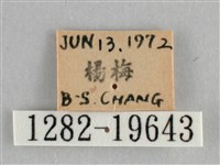 登錄號:001282-19643藏品圖，第3張