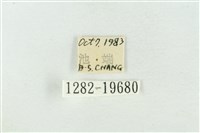 臺洒波紋蛾藏品圖，第3張