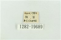 臺洒波紋蛾藏品圖，第3張