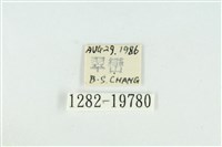 藹環波紋蛾藏品圖，第3張