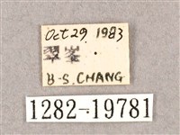 銀端帶鉤蛾藏品圖，第3張