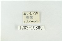 基褐綠刺蛾藏品圖，第3張