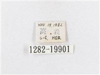 蓬萊茶斑蛾藏品圖，第3張