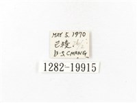 重陽木螢斑蛾藏品圖，第3張