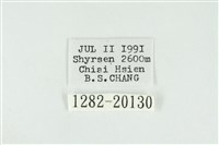 寬紋黃毒蛾藏品圖，第3張