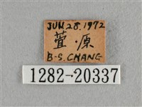 紫日灰蝶藏品圖，第3張