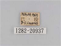 登錄號:001282-20397藏品圖，第3張