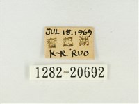 大紫琉灰蝶藏品圖，第3張