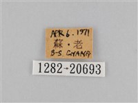 褐翅蔭眼蝶藏品圖，第3張