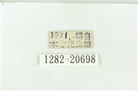 褐翅青灰蝶藏品圖，第3張
