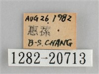 森林暮眼蝶、黑樹蔭蝶藏品圖，第3張