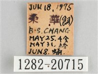 森林暮眼蝶、黑樹蔭蝶藏品圖，第3張
