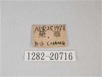 綠灰蝶埔里亞種藏品圖，第3張