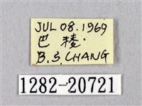 埔里星弄蝶藏品圖，第3張