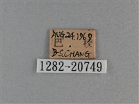 玉帶弄蝶藏品圖，第3張