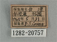 豆波灰蝶藏品圖，第3張