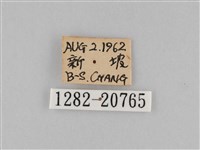 褐翅蔭眼蝶藏品圖，第3張