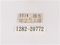 碧翠灰蝶藏品圖，第3張