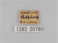 褐翅蔭眼蝶藏品圖，第3張