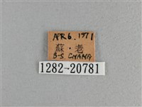 玉帶弄蝶藏品圖，第3張