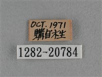 臺灣榿翠灰蝶藏品圖，第3張