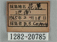 雅波灰蝶藏品圖，第3張