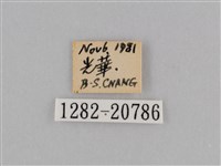 紫帶眉眼蝶藏品圖，第3張