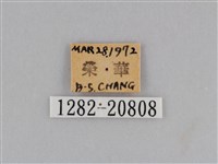 江崎波眼蝶藏品圖，第3張