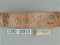 黃星弄蝶藏品圖，第3張