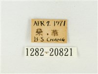 玳灰蝶藏品圖，第3張