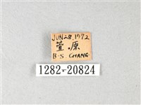 白弄蝶藏品圖，第3張