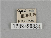 白斑弄蝶藏品圖，第3張
