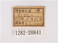 碧翠灰蝶藏品圖，第3張