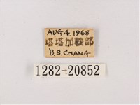 嫵琉灰蝶藏品圖，第3張