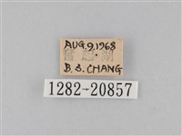 小波眼蝶藏品圖，第3張
