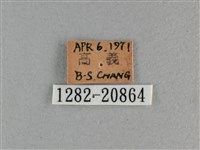 玉帶弄蝶藏品圖，第3張