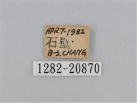 紫帶眉眼蝶藏品圖，第3張