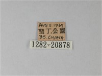靛色琉灰蝶藏品圖，第3張