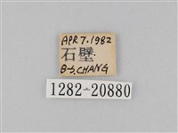 小波眼蝶藏品圖，第3張